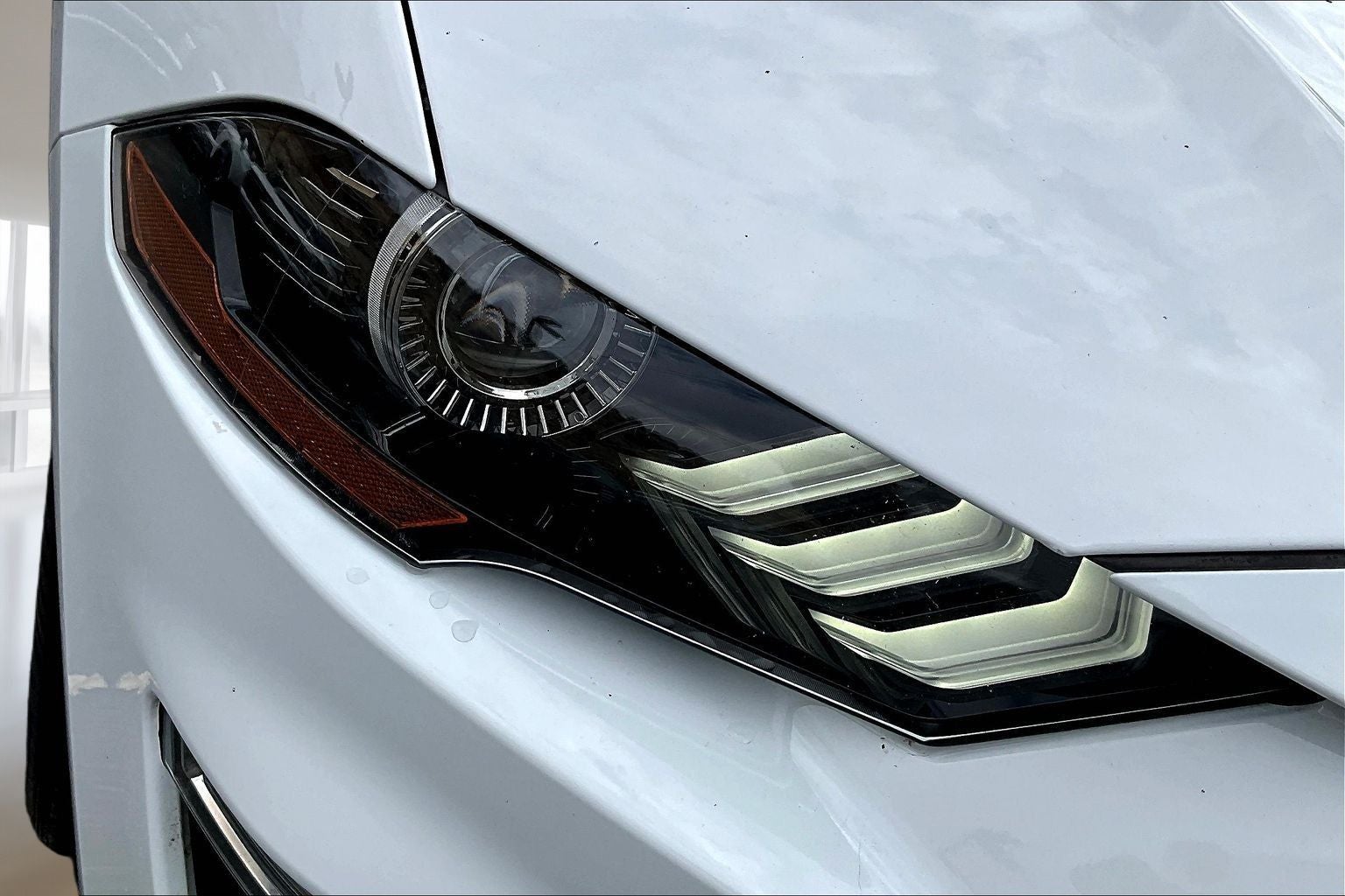 2023 Ford Mustang EcoBoost