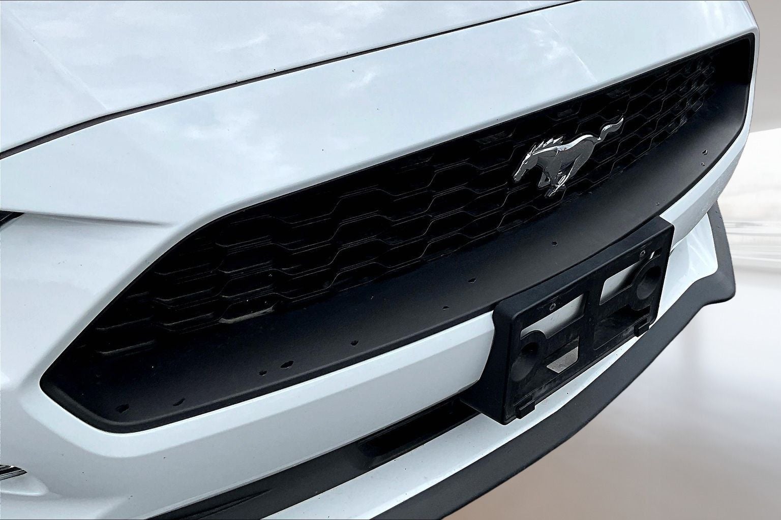 2023 Ford Mustang EcoBoost