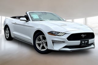 2023 Ford Mustang EcoBoost