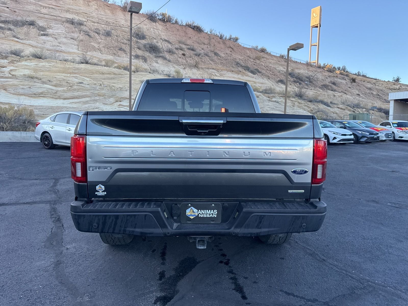 2019 Ford F-150 Platinum