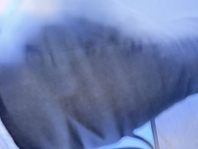 2022 Nissan Altima 2.5 SR 1N4BL4CW2NN308472