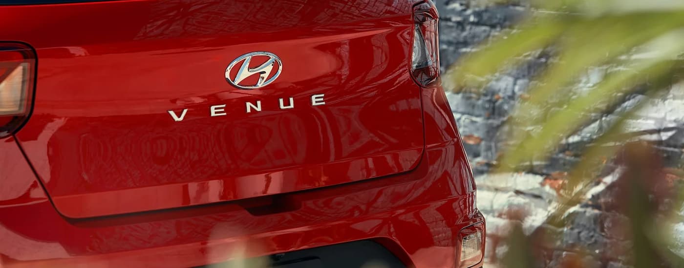 Rear of a red 2023 Hyundai Venue